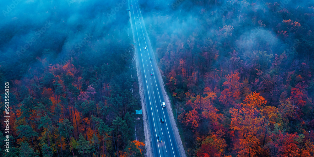 Drone view of a mountain road in an autumn forest.