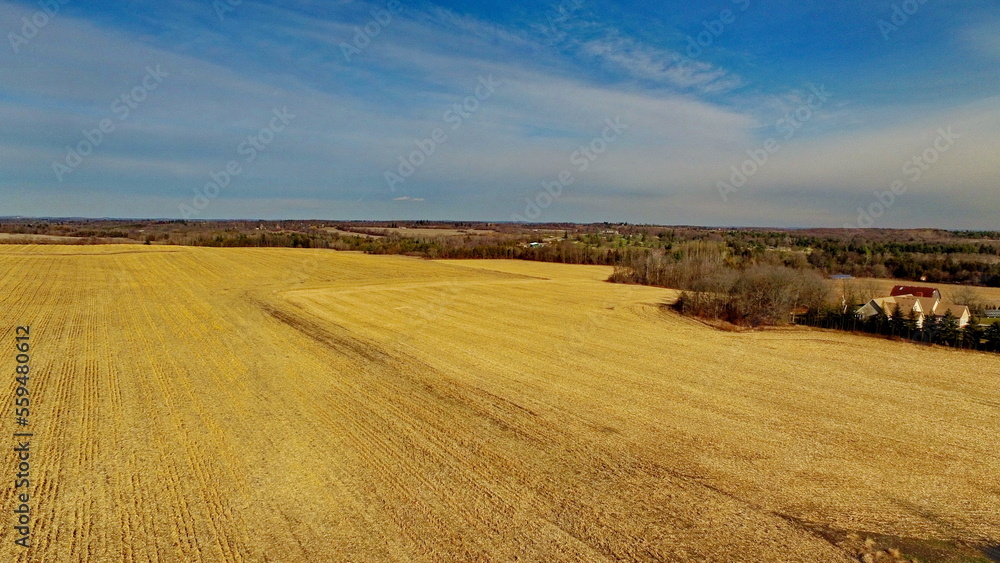 Aerial view of farmland in the Duffins Rouge Agricultural Preserve in the Greenbelt, Durham County, 