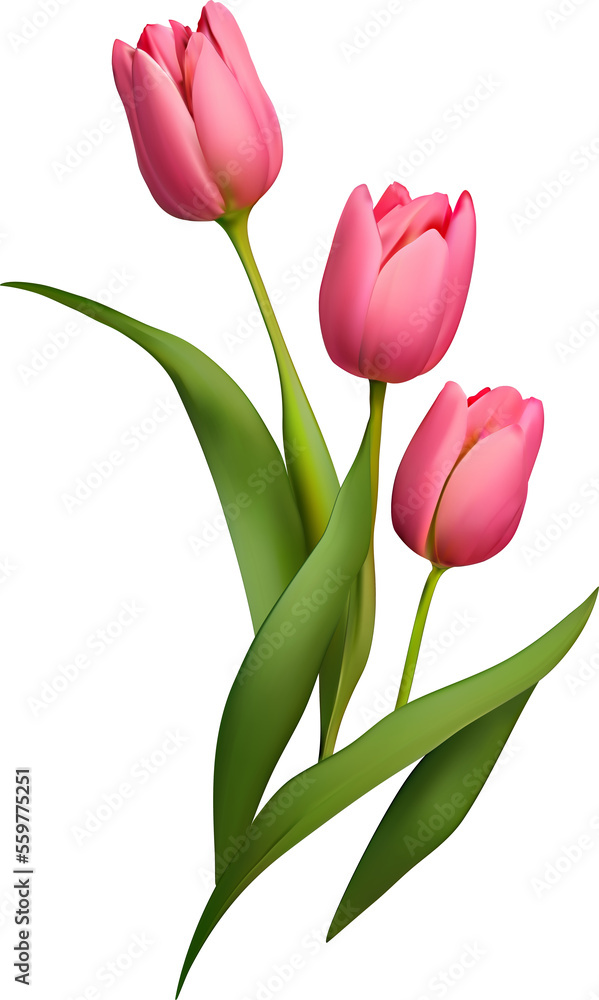 Pink Realistic Tulip Flowers Bouquet
