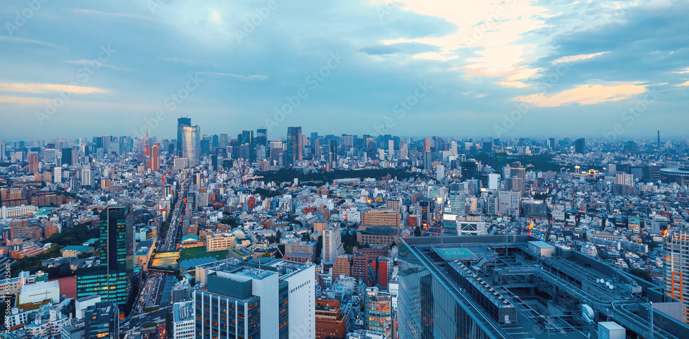 日本涩谷鸟瞰图，背景为新宿天际线
