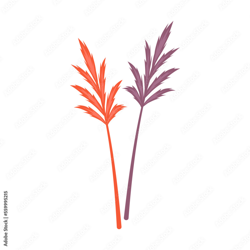Bouquet element, dry leaves and flowers, tree branches on white background. Autumn leaves and plant 