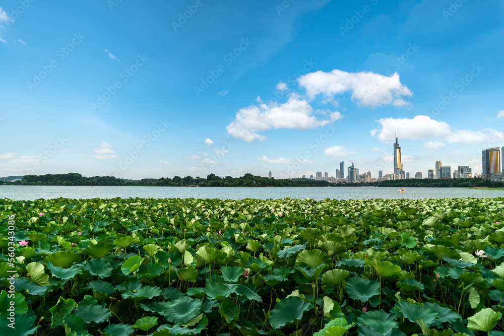 南京玄武湖畔城市景观