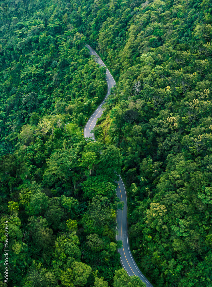 Road in the middle of the forest , road curve construction up to mountain, Rainforest ecosystem and 