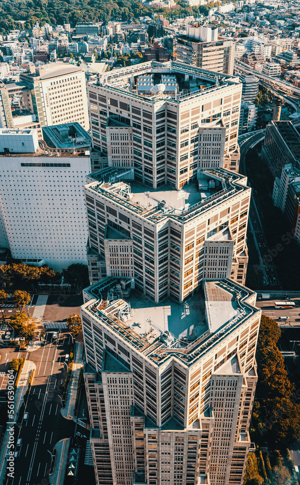 摩天大楼耸立在日本东京西新宿的城市景观之上