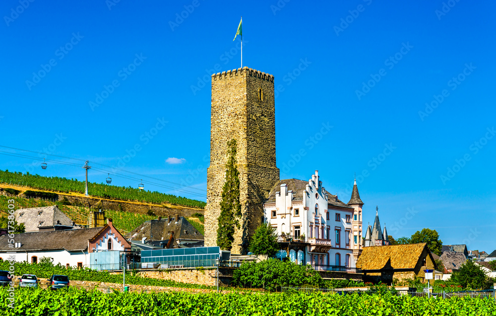 Boosenburg Castle in Ruedesheim am Rhein in the Rhine Gorge, Germany