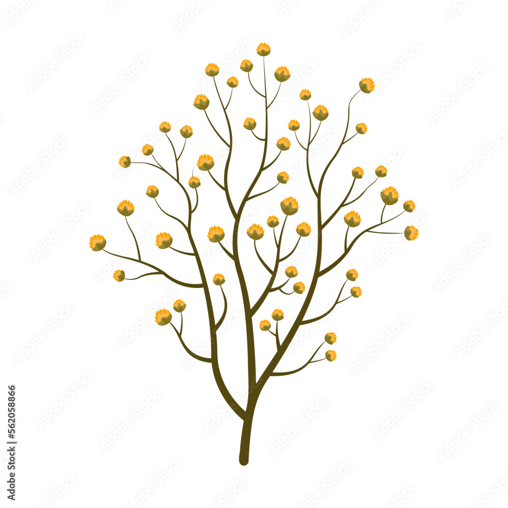 干燥的秋季植物矢量插图。秋季花束元素，干燥的叶子和花朵，树枝