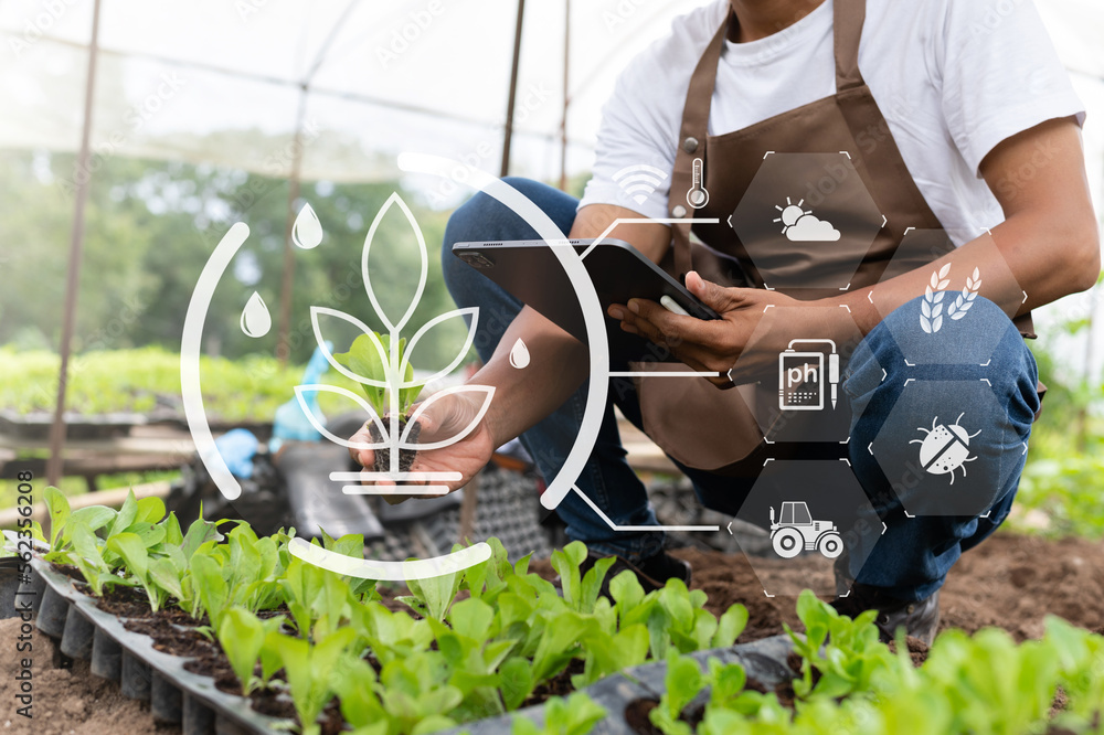 智能手机概念应用智能农民现代农业技术和视觉图标