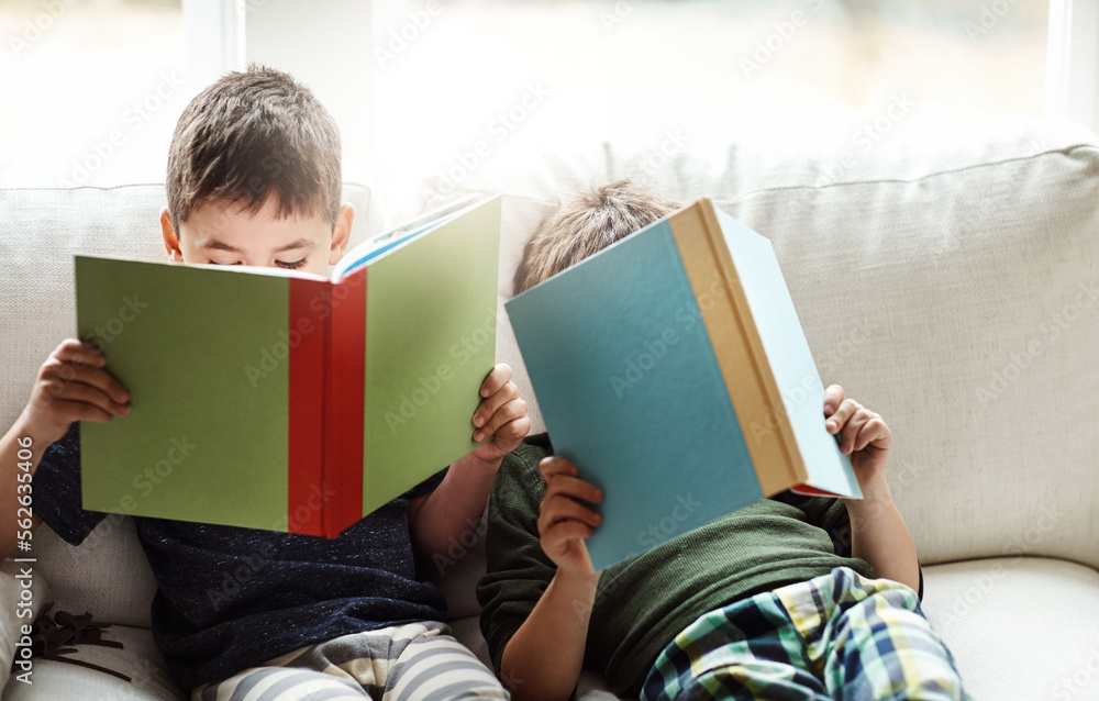 孩子们，为了教育、学习或放松而结缘和阅读书籍，在家庭客厅i上学习