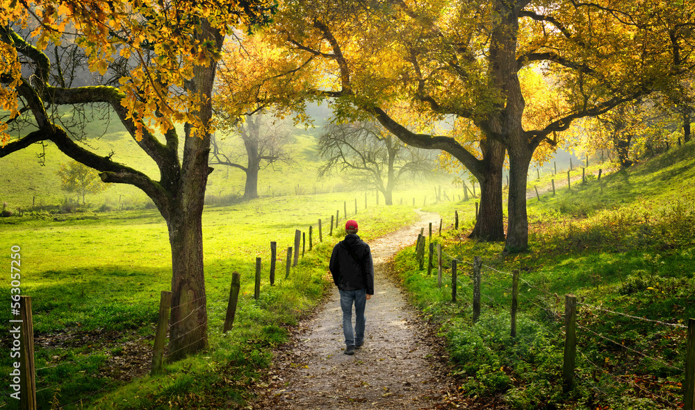Man walking through the beautiful countryside, with green meadows and autumn trees surrounding the s