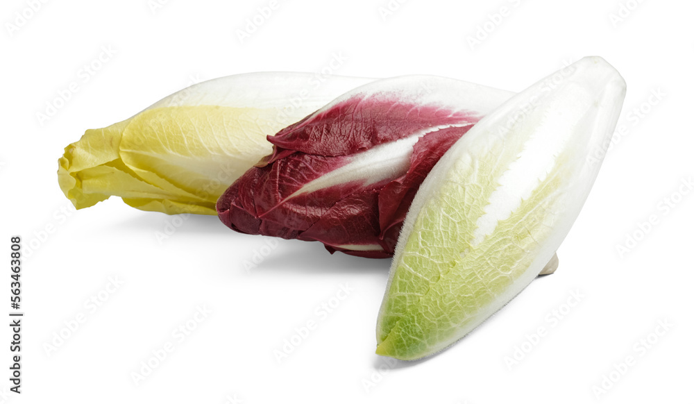 Bunches of fresh ripe endive on white background
