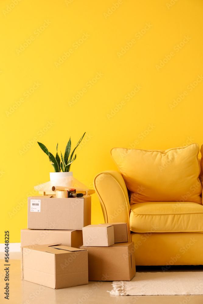 搬家当天客厅里有带室内植物和黄色沙发的纸板箱