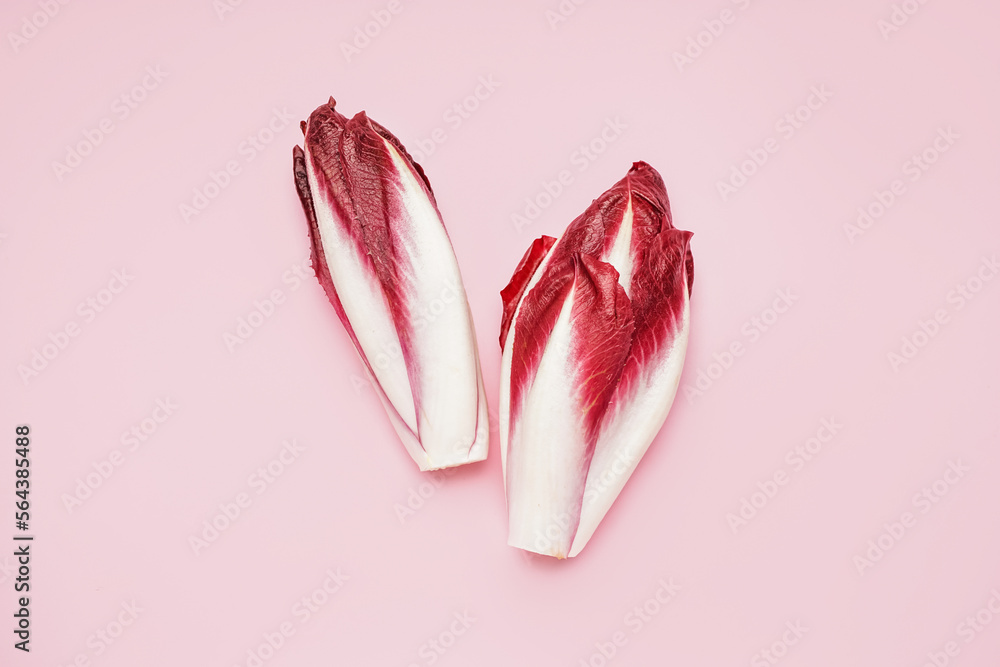 粉红色背景上的新鲜菊苣束