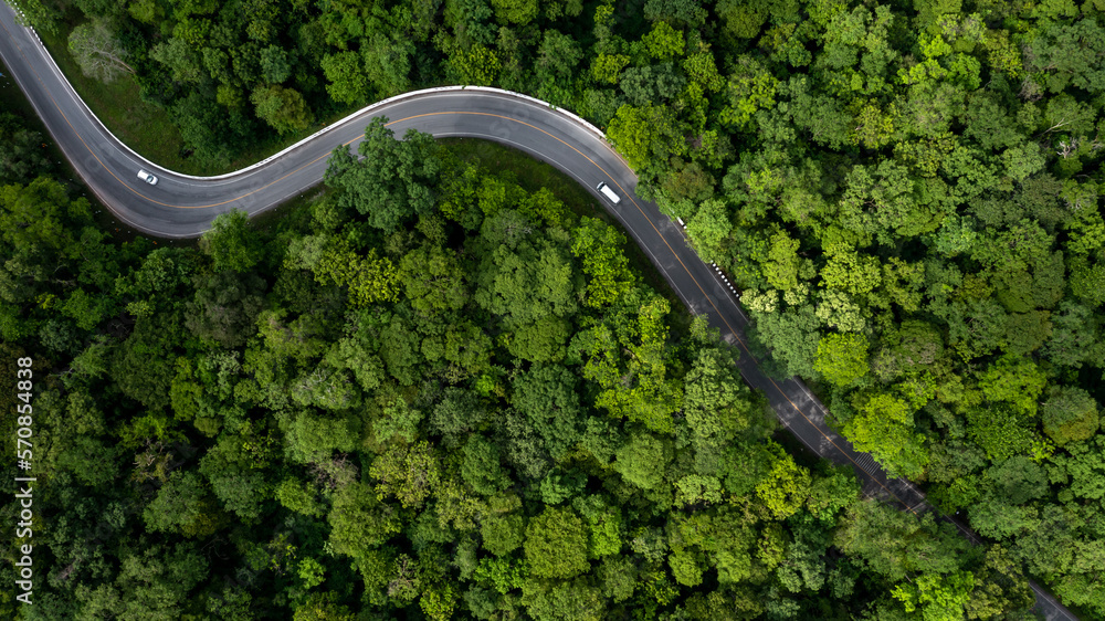 Aerial view green forest with car on the asphalt road, Car drive on the road in the middle of forest