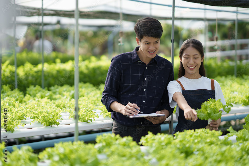 Young Asian workers checking quality of organic vegetables. Hydroponics farm organic fresh harvested