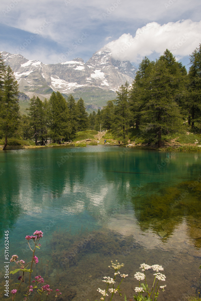 View of idyllic lake with wild flowers in the italian alps