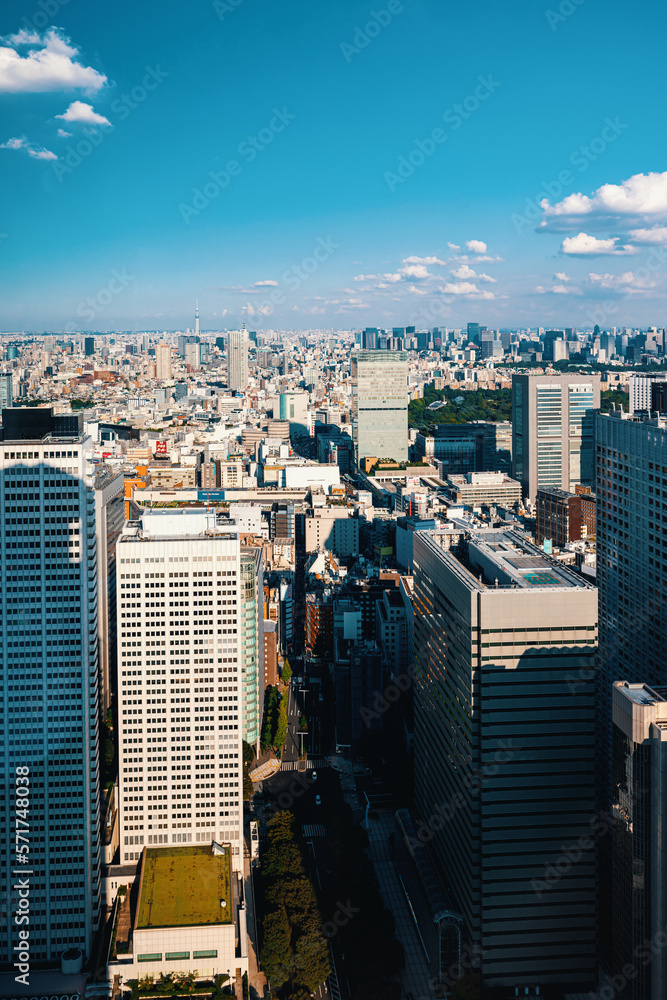Skyscrapers towering above the cityscape of Nishi-Shinjuku, Tokyo, Japan