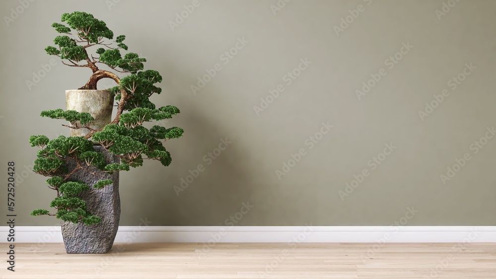 Clean, blank sage green wall with large Japanese bonsai tree in old concrete pot stand on brown parq
