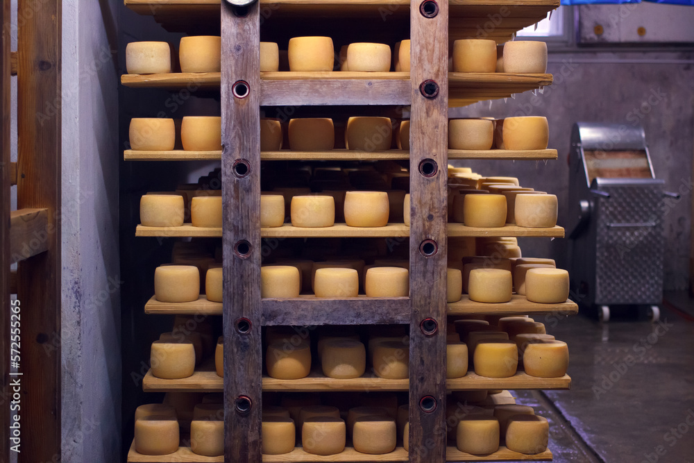 Room of cheese factory production with aging cheese