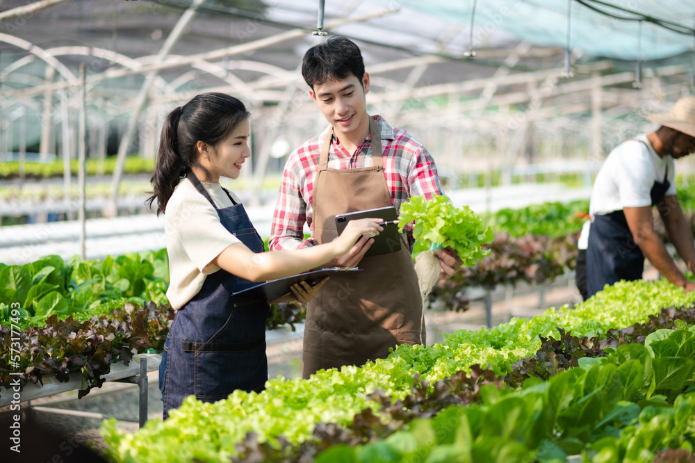 Asian farmer using hand holding tablet and organic vegetables hydroponic in greenhouse plantation. F