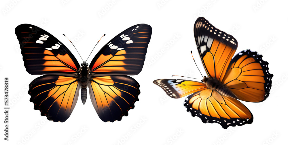 Set of very beautiful yellow orange butterflies with color transitions isolated on a transparent bac