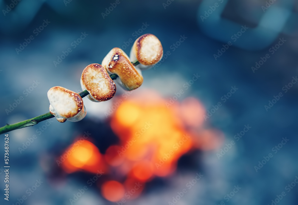 Closeup view of the roasted marshmallow on the stick above the fire.