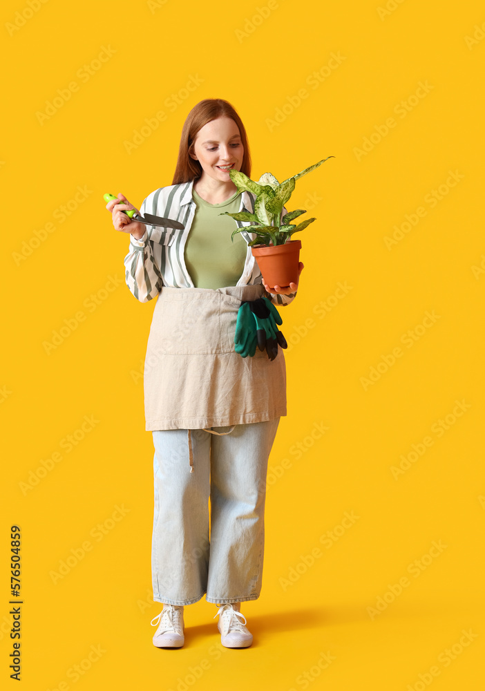 Young woman with shovel and green houseplant on yellow background