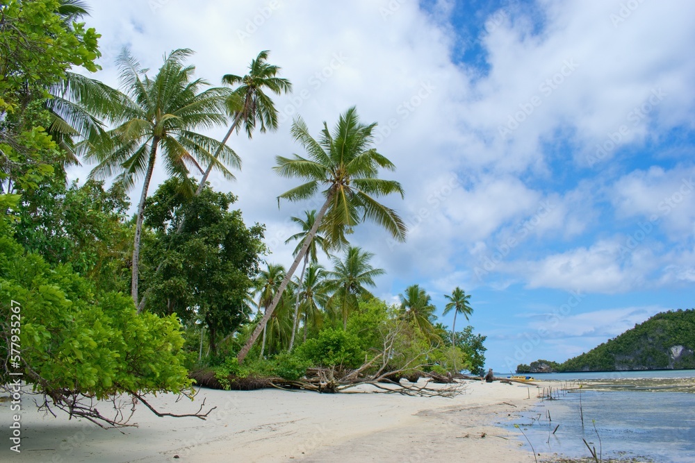 Beautiful summer scene, the beach with palm trees - Raja Ampat, West Papua, Indonesia, Friwen island