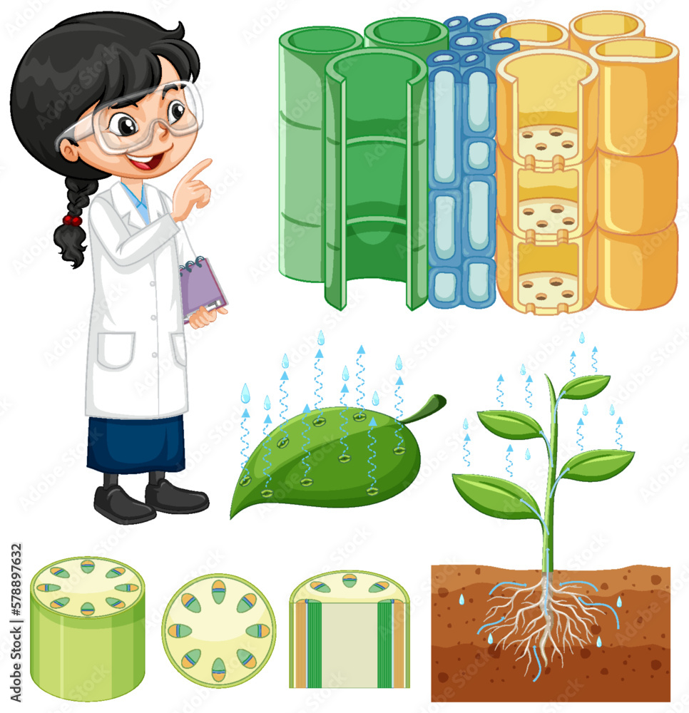 Plant structure with student girl