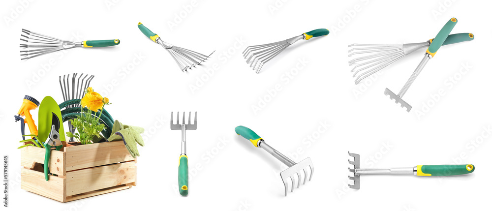 Set of gardening supplies with plant on white background