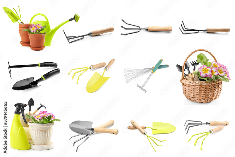 Group of gardening supplies with plants on white background