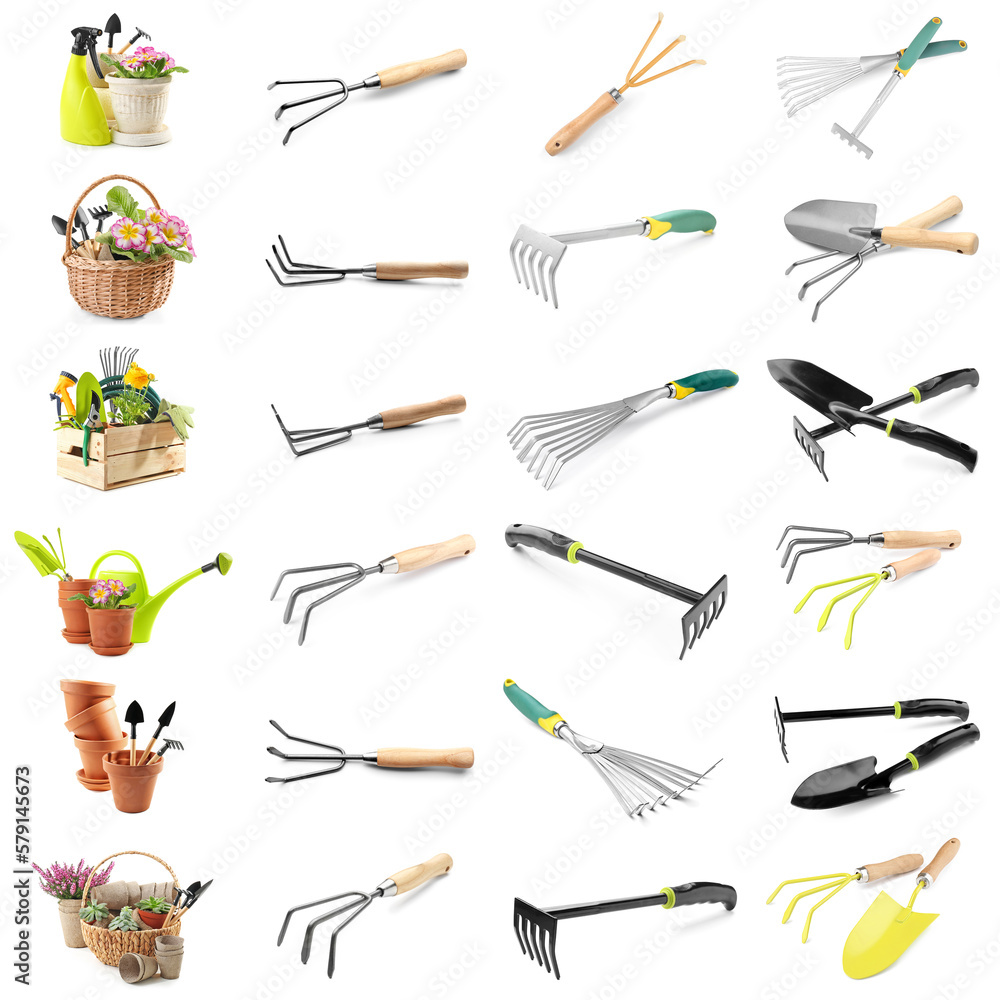 Set of gardening supplies with plants on white background