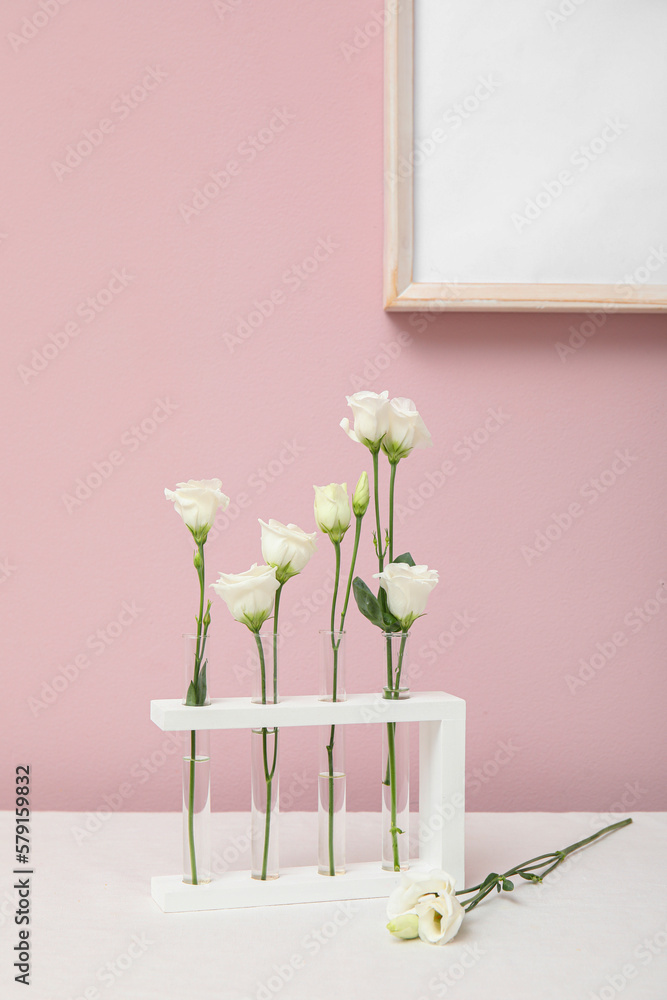 Test tubes with beautiful eustoma flowers on table near color wall