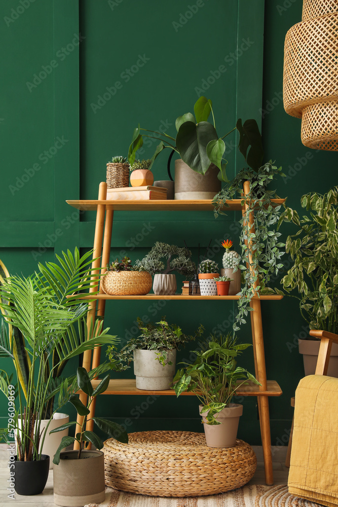 Shelving unit with green houseplants in living room