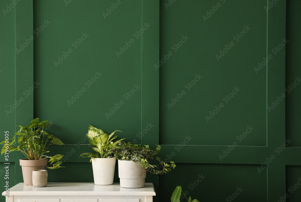 Potted houseplants on table near green wall