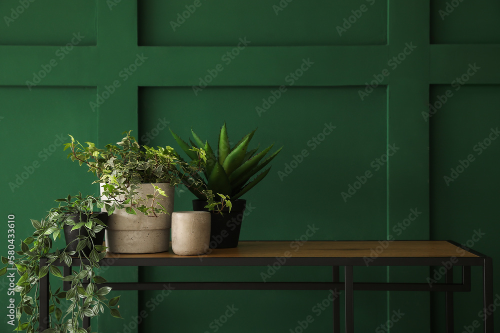 Potted houseplants on shelf near green wall