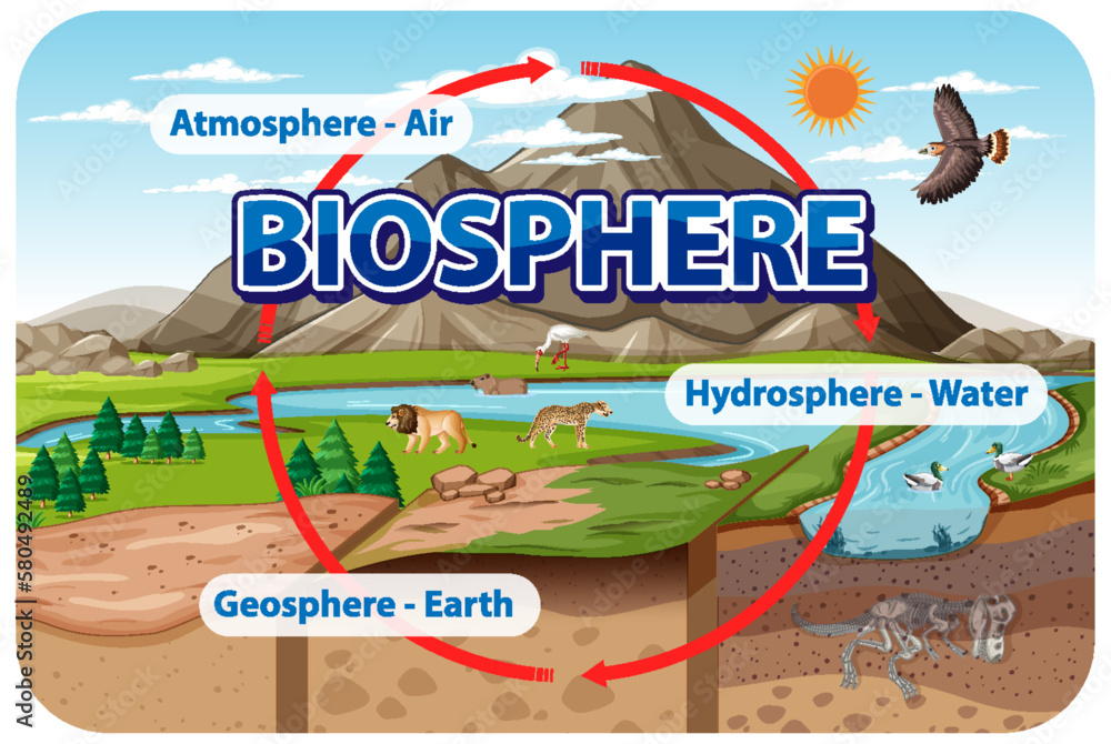 Biosphere Ecology Infographic for Learning