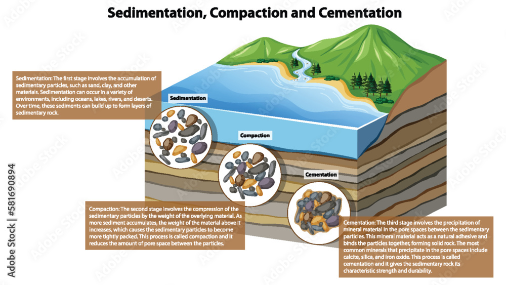 Sedimentation Compaction and Cementation
