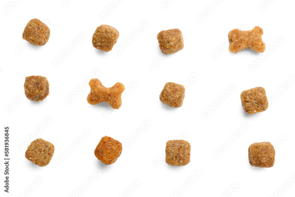 Composition with dry pet food on white background