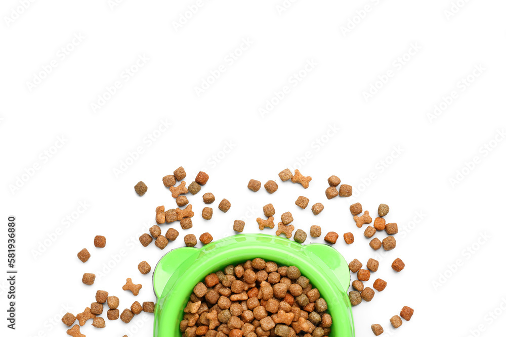 Bowl of dry pet food isolated on white background