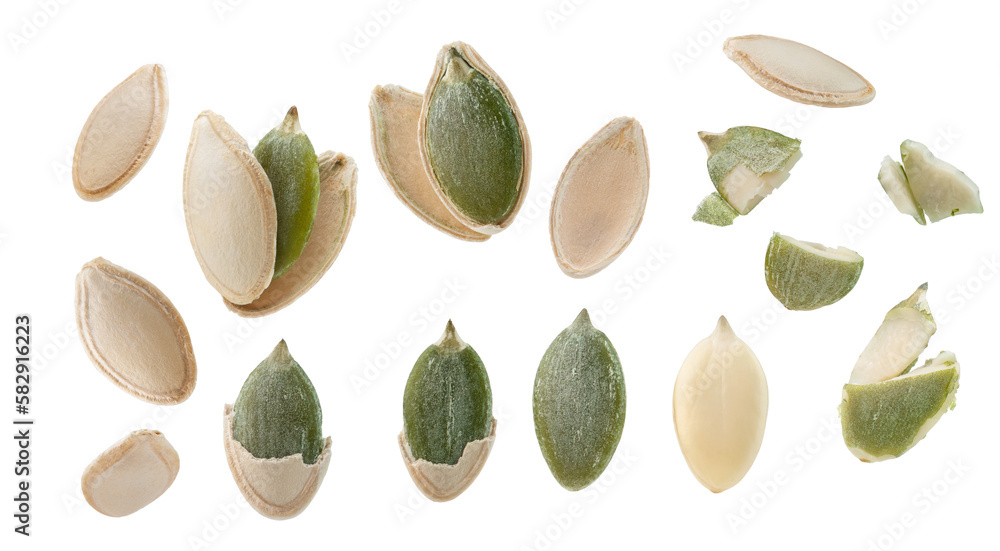 a set of pumpkin seeds isolated on white background.