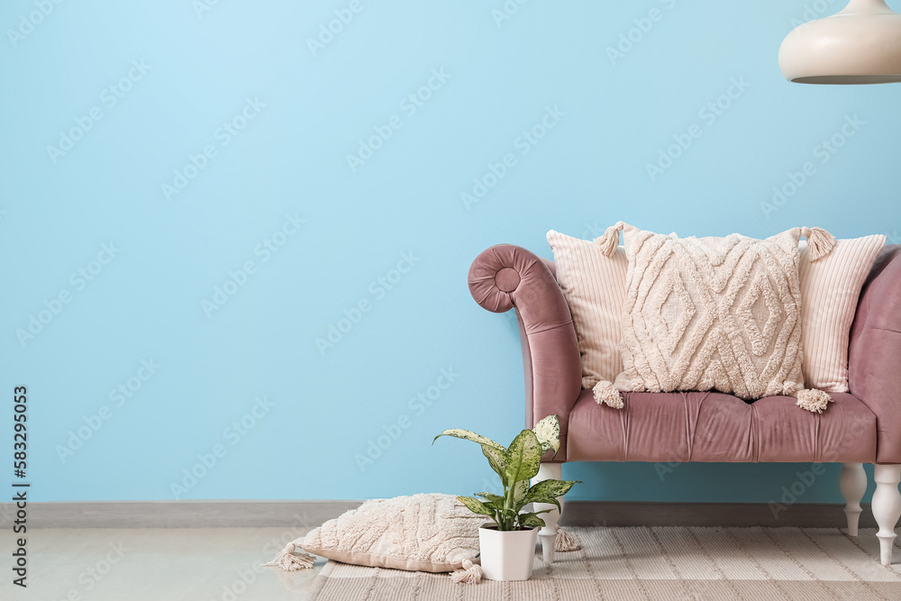 Pink sofa with cushions and houseplant near blue wall