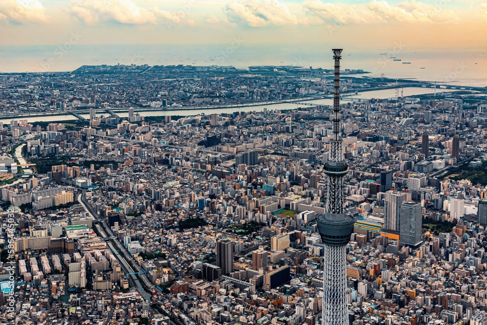 Aerial View of Sumida City with the Tokyo Skytree, Tokyo, Japan