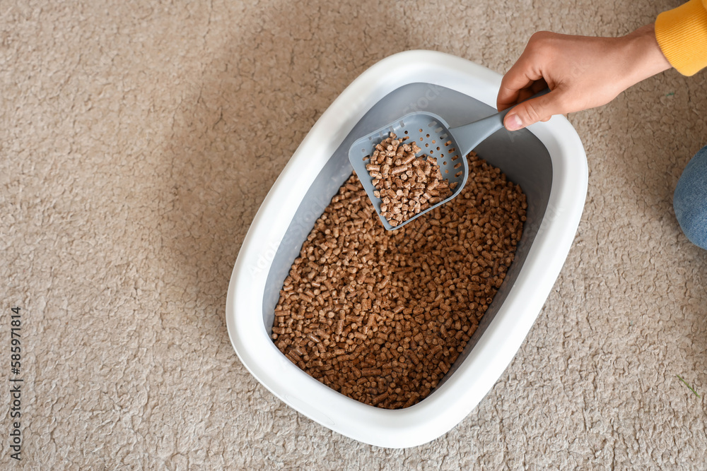 Owner cleaning cat litter box, top view