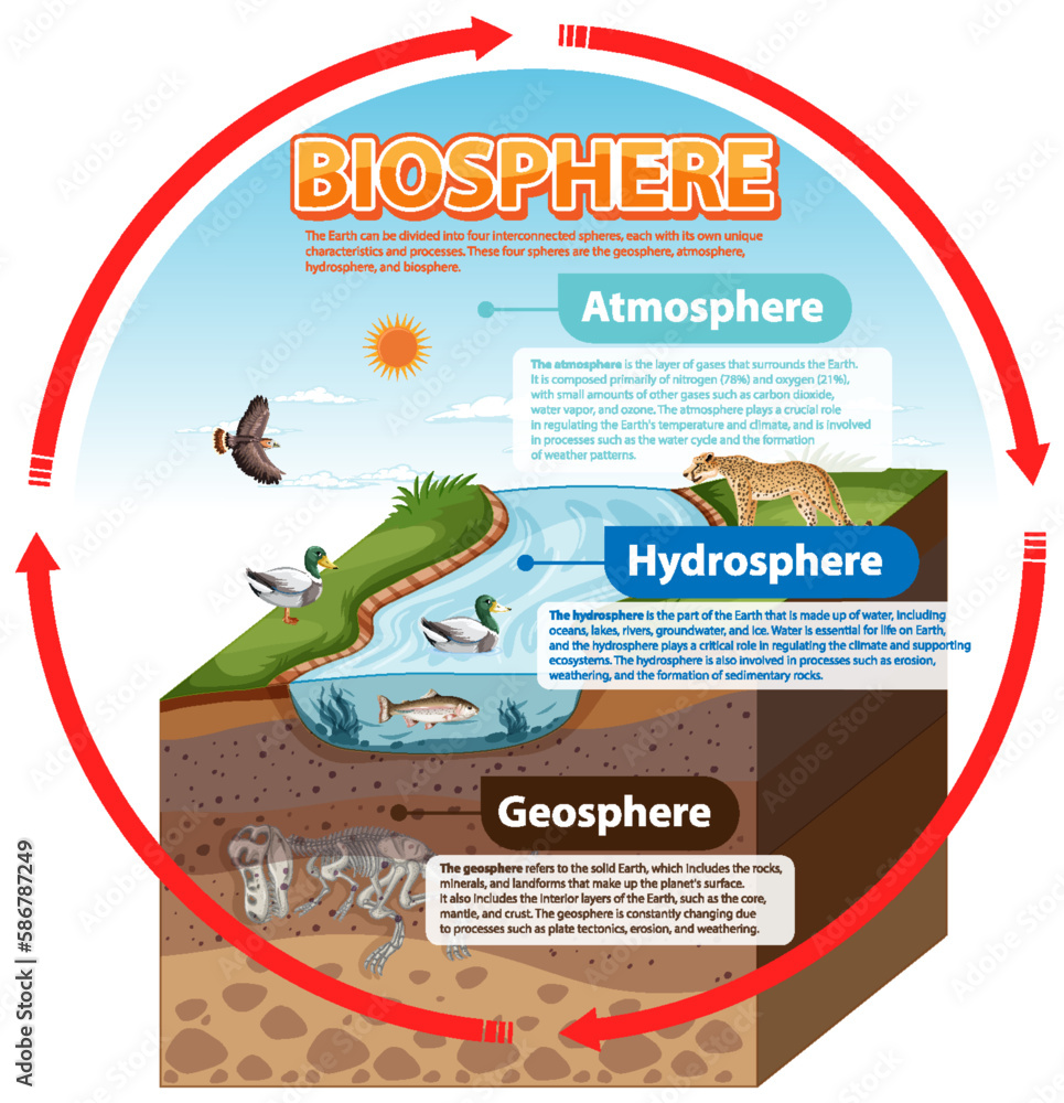 Biosphere Ecology Infographic for Learning