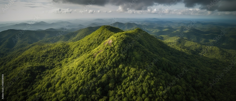A view from a height of a mountain peak with green trees in the fog.Aerial view. Panoramic shot. Gen