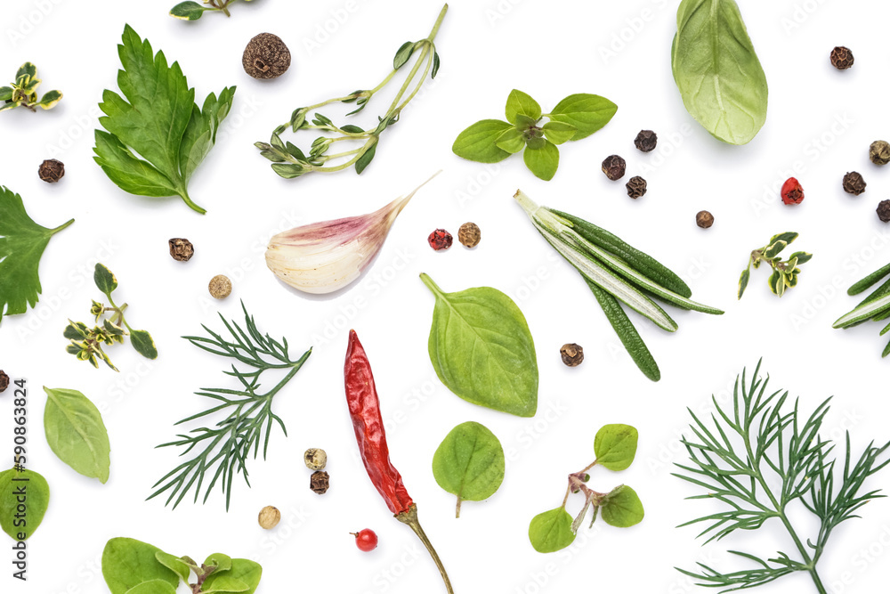 Composition with fresh herbs and spices on white background
