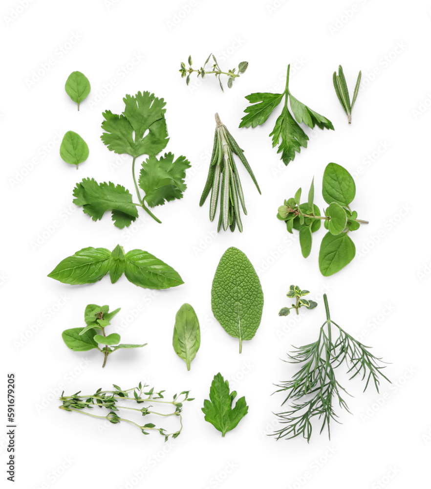 Composition with different fresh herbs isolated on white background