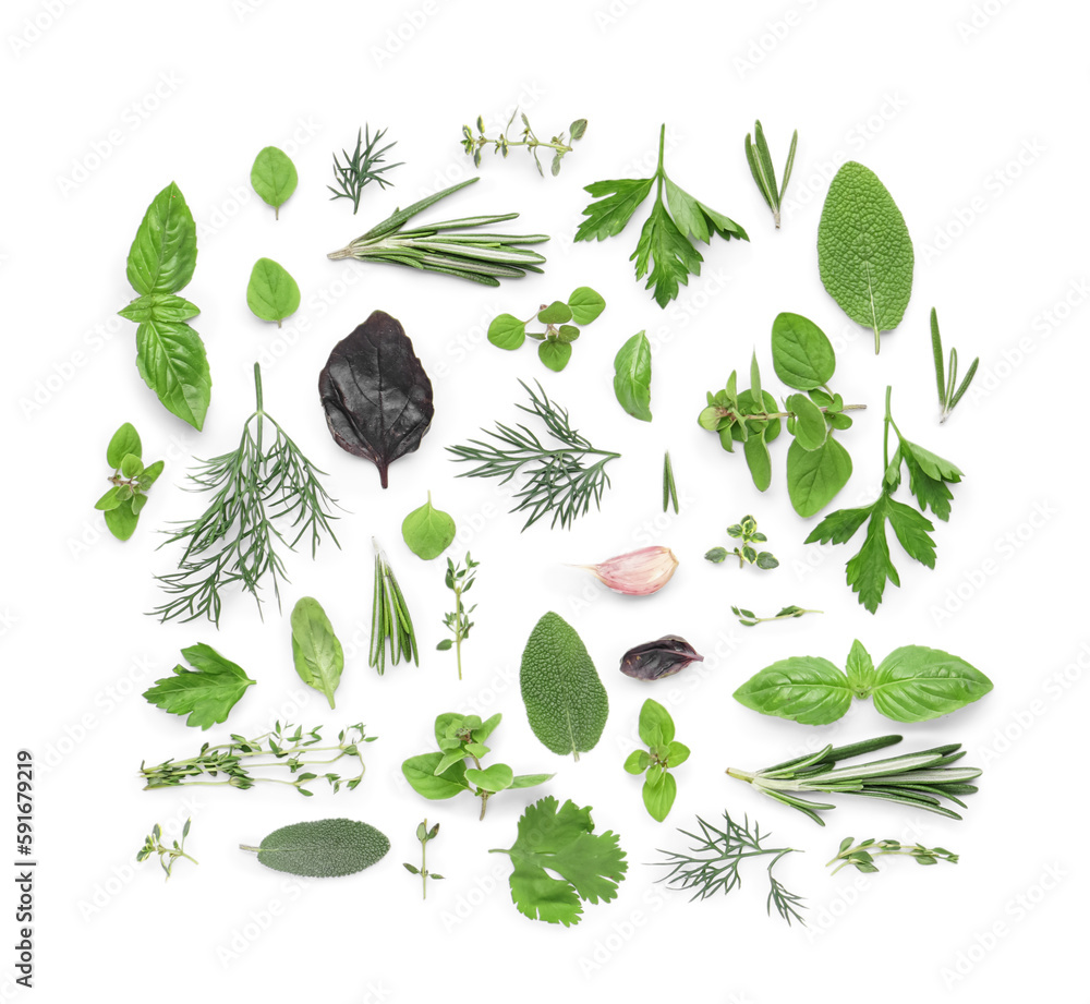 Composition with aromatic herbs isolated on white background