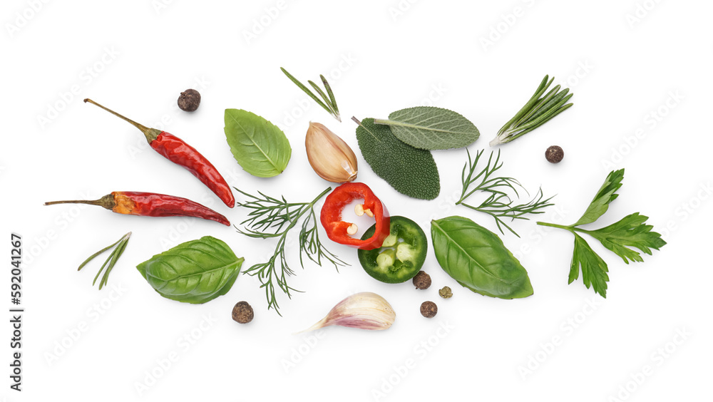 Composition with vegetables, spices and herbs isolated on white background