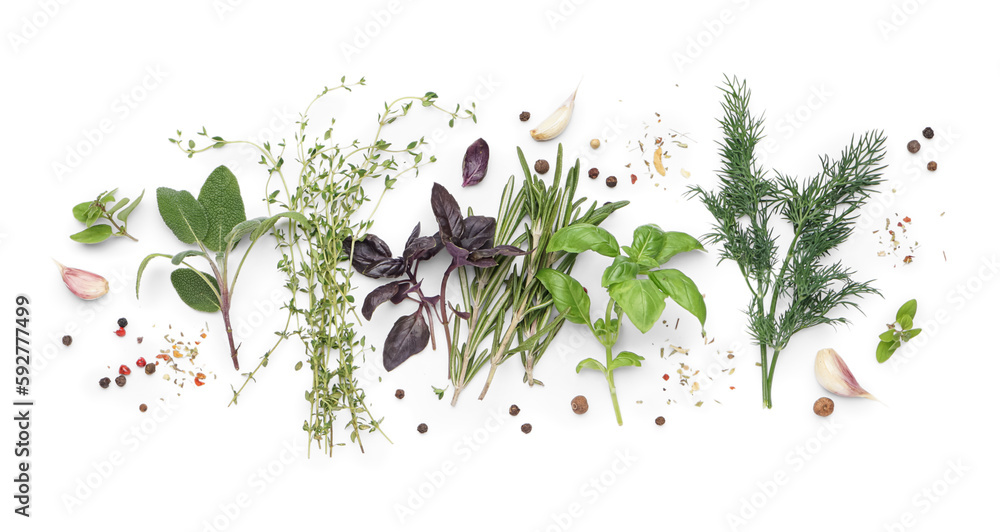 Composition with fresh herbs and spices isolated on white background